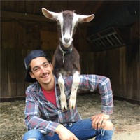 Matt Giordano Email & Phone Number