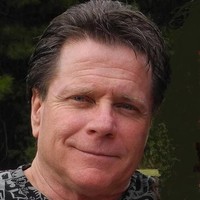 Steve Fox Email & Phone Number