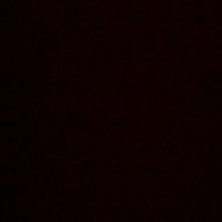 Houghton Mifflin Harcourt Employee Paul Bernard's profile photo