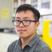NANOAFFIX SCIENCE LLC Employee Yale Wang's profile photo