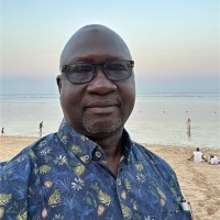 Mainstream Energy Solutions Limited Employee Lamu Audu's profile photo