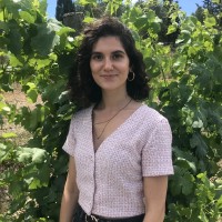 Hedonism Wines Employee Clara Javelle's profile photo