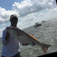 Summit Electric Supply Employee Rick Wright's profile photo