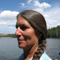 Laurie McCardell