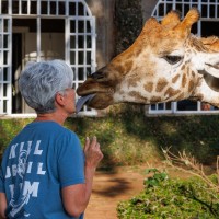 Piedmont Plastic Surgery & Dermatology Employee Heather Soli's profile photo