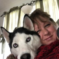Cook Medical Employee Cheryl Todd's profile photo