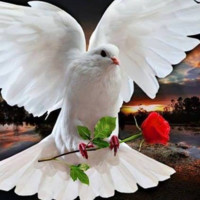 DIMENSION-ALL INC Employee Leo Anderson's profile photo