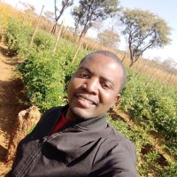 FarmPlus Employee Eddie Seketi's profile photo