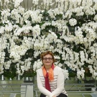 Hospital 9 de Julho Employee Fatima Ribeiro's profile photo