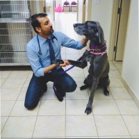 Lorne Park Animal Hospital Employee Arif Memon's profile photo