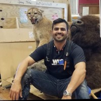 WESTRANSCO INC Employee Joseph Hatami's profile photo