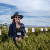 CSIRO Employee Alison Bentley's profile photo