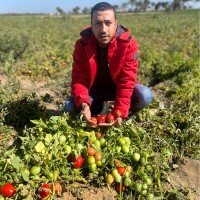 Mohamed Reda Email