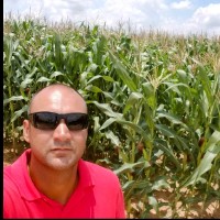 Tomato Jos Employee Art Cardoso's profile photo