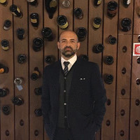 Davide Poletti Email
