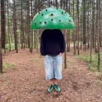Activate Performing Arts Employee Dom Kippin's profile photo