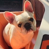 Paige Ferguson Email & Phone Number