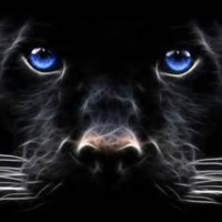 Hope's Windows, Inc. Employee Scott Nelson's profile photo