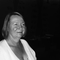 PHX Training Employee Dawn Bolam's profile photo