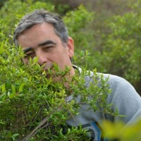 ESPR Employee Luis Vilhena's profile photo