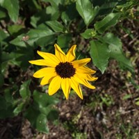 Retired, Enjoy helping others Employee Leslie Archer's profile photo