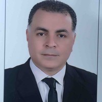 Mahmoud Said Email & Phone Number