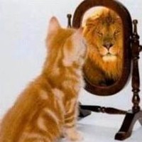 Jodi Ericson Email & Phone Number