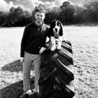 TCi (GB) Ltd Employee David Jackson's profile photo