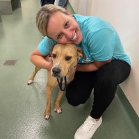 Scenthound Franchise Employee Alyson Ekmark's profile photo