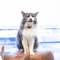 The Source Employee Chiquita Bonita's profile photo