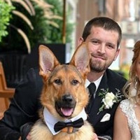 Clemens Food Group Employee Steven Beck's profile photo