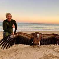 Broadbench Employee Thomas Hitchcock's profile photo