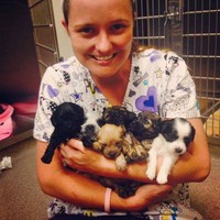 Kristin Mistretta Email & Phone Number