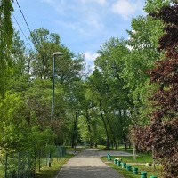 VOX Electronics Employee Dejan Drljic's profile photo