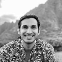 Databricks Employee Ankit Vij's profile photo