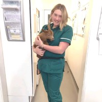 Hamilton Specialist Referrals Employee Nicola Rvn's profile photo