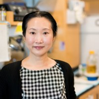 Harvard Medical School - Massachusetts General Hospital Employee Hongmei Mou's profile photo