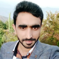 Vital Web Solution Employee Ali Zia's profile photo