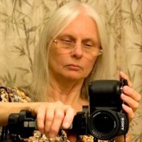 KR Employee Renate Shanahan's profile photo
