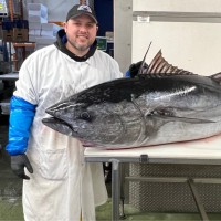 C.A. Curtze Co. Employee Peter Wishnok's profile photo