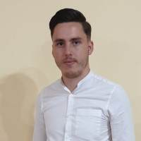 Cosmin Briscaru Email