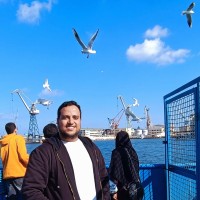 Mahmoud El-Maksoud Email