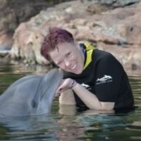 Lisa Vail Email