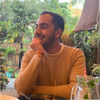 SynergyWorks Solutions LLP Employee Rohan Chauhan's profile photo