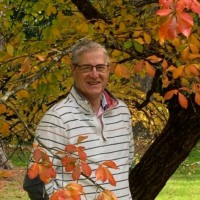 Andrew Cheesman Email & Phone Number