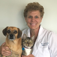 Veterinarian Employee Joi S.'s profile photo