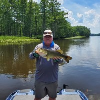 Atrium Windows & Doors Employee David Robertson's profile photo