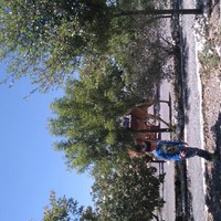 CALELEC Employee Oscar Medina's profile photo