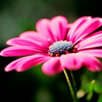 Interwest Paper, Inc. Employee Judith Prado's profile photo