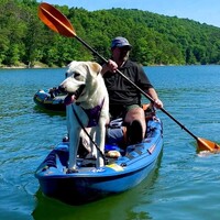 DH WEB, Inc. Employee David Hall's profile photo